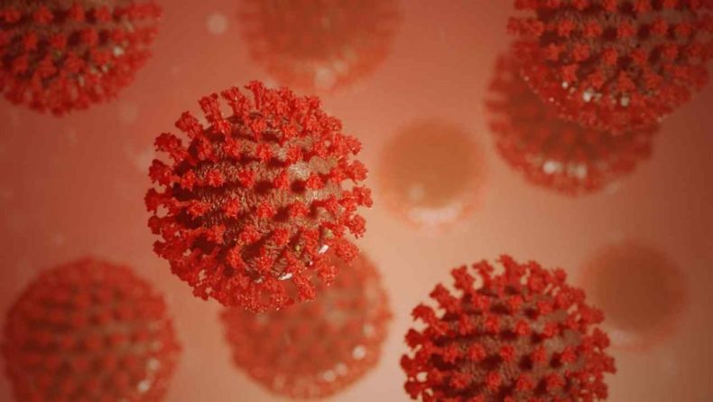 Общество: Новую разновидность коронавируса SARS-CoV-2 обнаружили в Британии