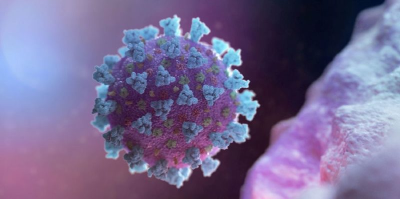 Общество: В Великобритании найден новый штамм коронавируса