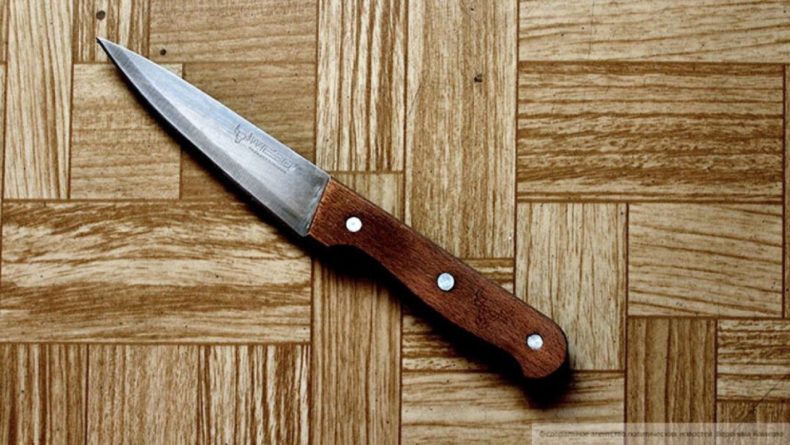 Общество: Подросток из Великобритании нанес матери 118 ножевых ранений