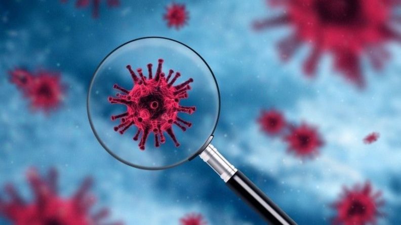 Общество: Минздрав Великобритании завил о появлении нового вида коронавируса