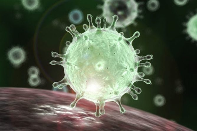 Общество: В ВОЗ рассказали, насколько опасна новая мутация коронавируса в Британии
