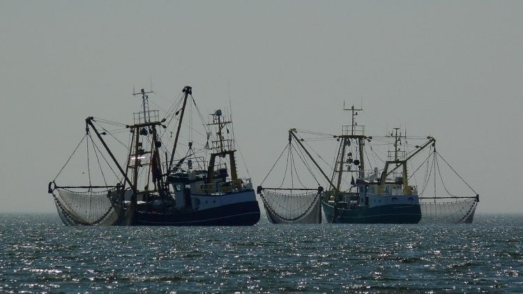 Общество: The Guardian: вопросы рыболовства еще больше разобщили Лондон и Брюссель