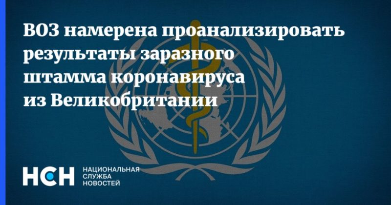 ВОЗ намерена проанализировать результаты заразного штамма коронавируса из Великобритании 20122020 Общество: ВОЗ намерена проанализировать результаты заразного штамма коронавируса из Великобритании