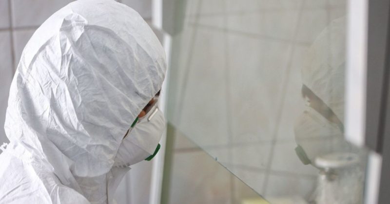 Общество: В Великобритании выявили новый штамм коронавируса с более опасными свойствами