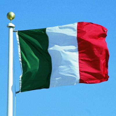 Общество: Итальянские власти решили запретить принимать авиарейсы из Великобритании