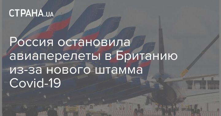 Общество: Россия остановила авиаперелеты в Британию из-за нового штамма Covid-19