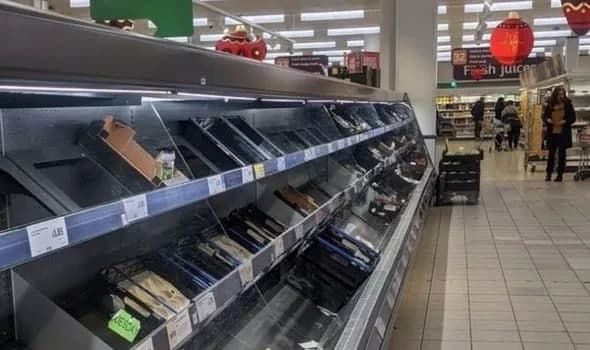 Общество: Неистовая паника: британцы опустошили продуктовые магазины из-за нового штамма COVID-19