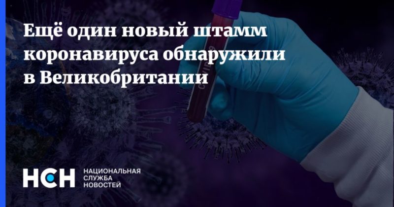 Ещё один новый штамм коронавируса обнаружили в Великобритании 23122020 Общество: Ещё один новый штамм коронавируса обнаружили в Великобритании