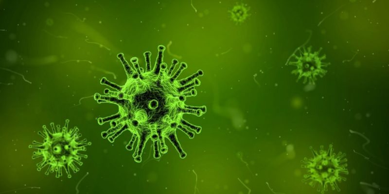 Общество: В Британии нашли еще два новых штамма коронавируса
