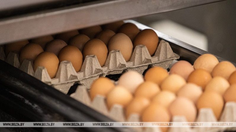 Общество: В Великобритании магазины снова ограничивают продажу яиц и туалетной бумаги