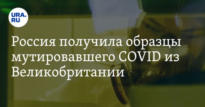Россия получила образцы мутировавшего COVID из Великобритании 24122020 Общество: Россия получила образцы мутировавшего COVID из Великобритании