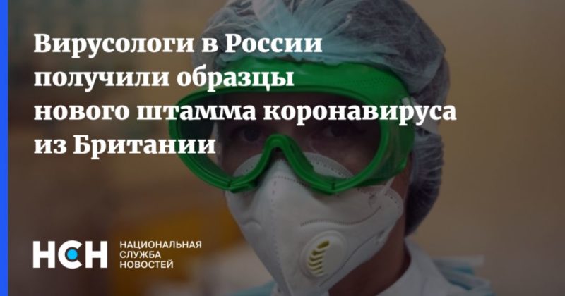Вирусологи в России получили образцы нового штамма коронавируса из Британии 24122020 Общество: Вирусологи в России получили образцы нового штамма коронавируса из Британии