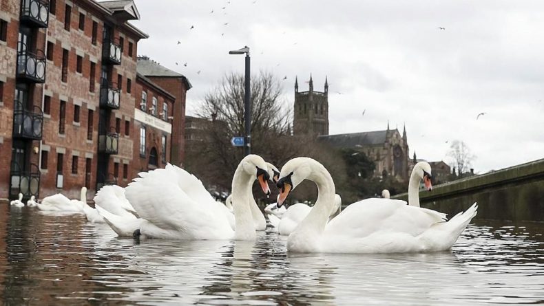Общество: Жители центральной Англии встречают праздники в затопленных домах