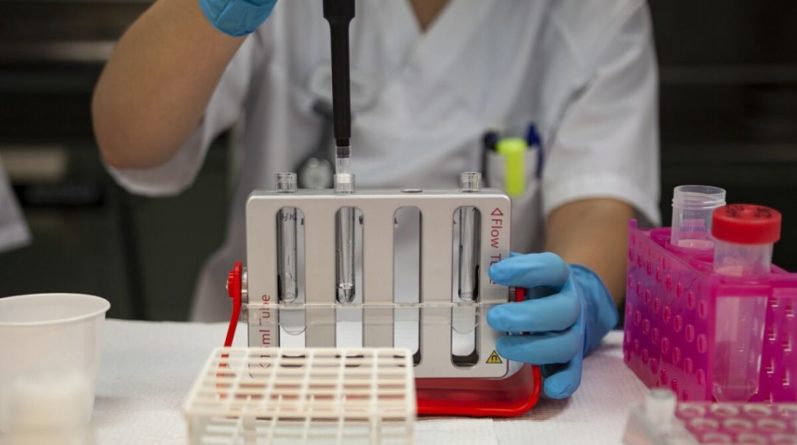 Общество: В Британии тестируют экспериментальное лекарство от коронавируса