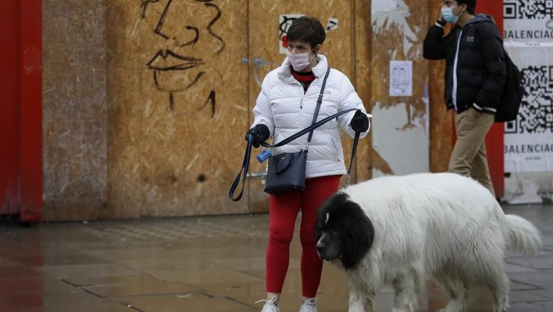 Общество: В Великобритании из-за коронавируса резко участились случаи похищения собак
