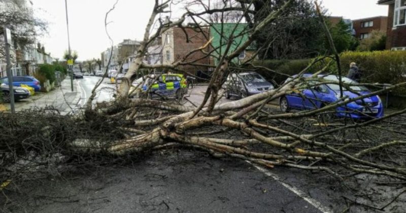 Общество: На Англию, Францию и Бельгию обрушился мощный ураган (фото, видео)
