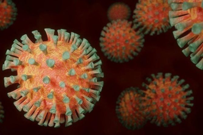 Общество: Сверхзаразный коронавирус из Великобритании выявили около границ России