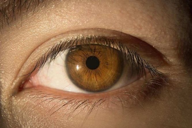 Общество: Врачи из Великобритании назвали три «глазных» симптома рака лёгких