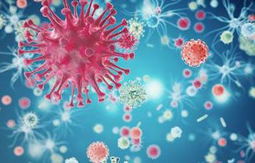 Общество: В Британии создали новое средство против коронавирусной инфекции