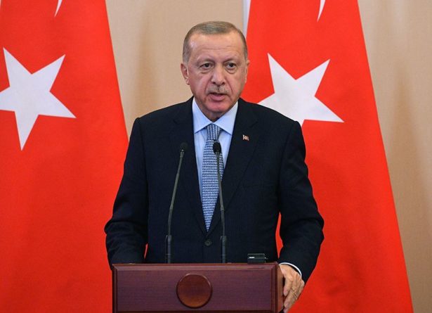 Общество: Эрдоган предложил ЕС принять в союз Турцию вместо вышедшей Великобритании