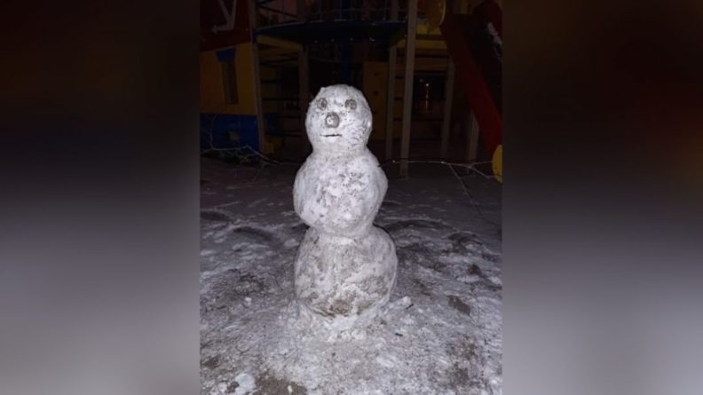 Общество: "Сорвавшийся" на снеговике мусорщик лишился работы в Великобритании