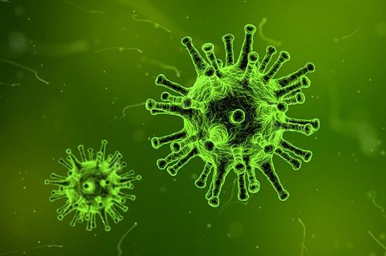 Общество: В Англии выявили вызывающую беспокойство мутацию коронавируса