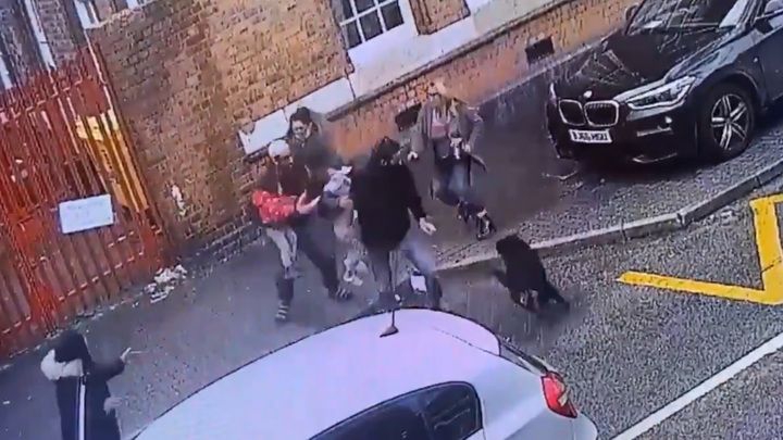 Общество: ЧП. Опубликовано видео нападения сторожевого пса на маленьких детей в Англии