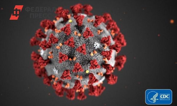 Общество: В Британии нашли новый штамм коронавируса