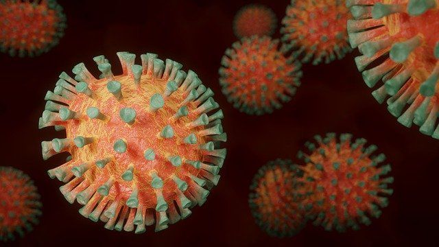Общество: Еще один новый штамм коронавируса из Великобритании нашли в 10 странах