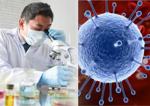 Общество: В Британии выявили еще один штамм коронавируса