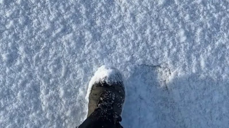 Общество: Лучший антистресс! Прогулку по хрустящему снегу в Великобритании показали на видео