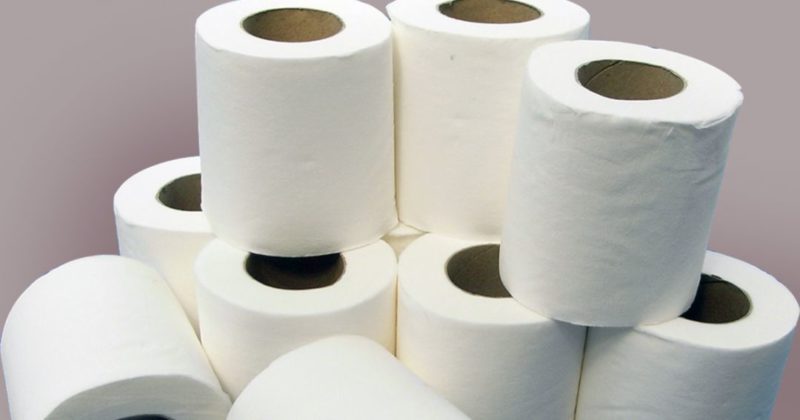 Общество: Дети из бедных семей Великобритании делали уроки на туалетной бумаге