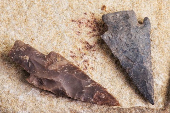 Общество: В Великобритании нашли уникальный 3000-летний наконечник копья