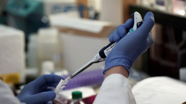 Общество: В Великобритании обнаружили шесть случаев бразильского штамма коронавируса