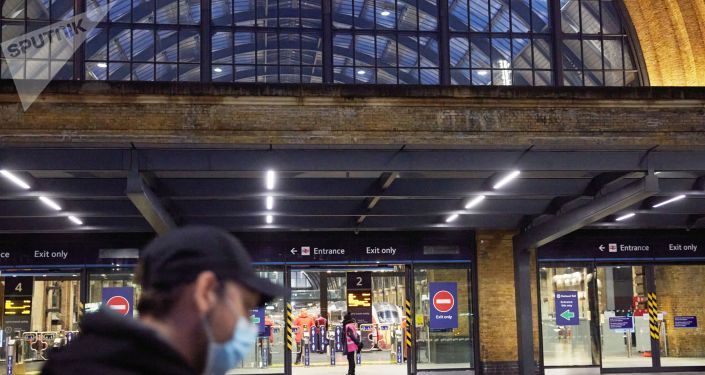 Общество: В Лондоне пришлось вывести из эксплуатации поезд из-за кошки, не захотевшей слезть с крыши