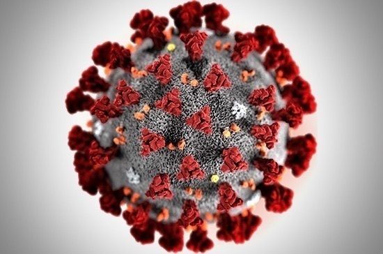 Общество: В Британии обнаружили новую разновидность коронавируса