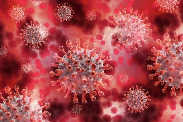 Общество: На юго-востоке Англии обнаружили новый вариант коронавируса