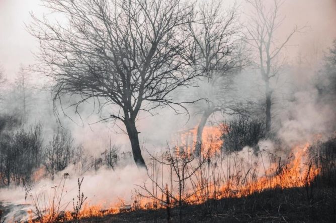 Общество: В Британии разработана смесь для тушения торфяных пожаров