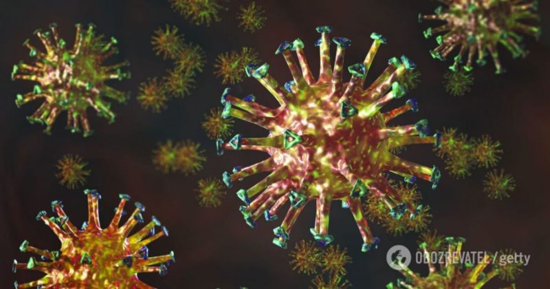 Общество: Филиппинский штамм коронавируса обнаружили в Британии