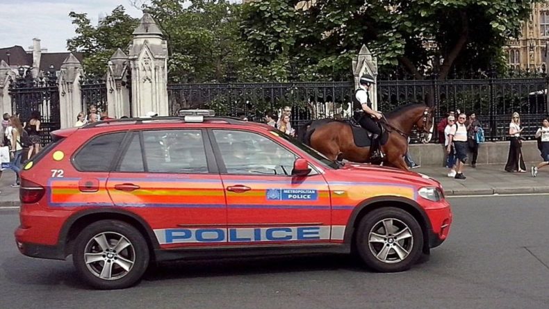 Общество: Полиция задержала 33 человек после акции протеста в Лондоне