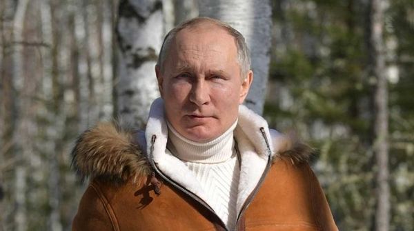 Общество: Здоровый и сильный лидер: британцы отреагировали на видео с Путиным в тайге