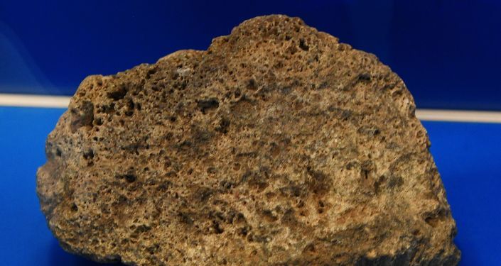 Общество: Вместо червей – артефакт. В Британии мальчик обнаружил окаменелость эпохи палеозоя