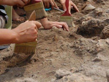 Общество: Шестилетний британец случайно раскопал коралл палеозойской эры