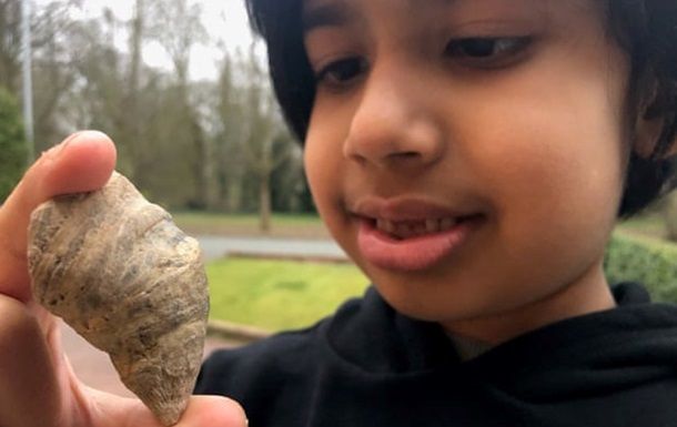 Общество: В Британии ребенок нашел окаменелость, возрастом 500 миллионов лет