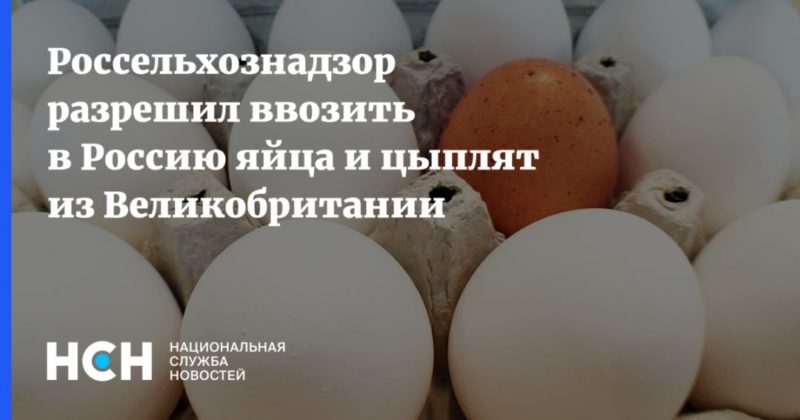 Общество: Россельхознадзор разрешил ввозить в Россию яйца и цыплят из Великобритании