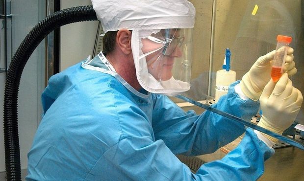Общество: В Великобритании выявили «индийский» штамм коронавируса с двойной мутацией