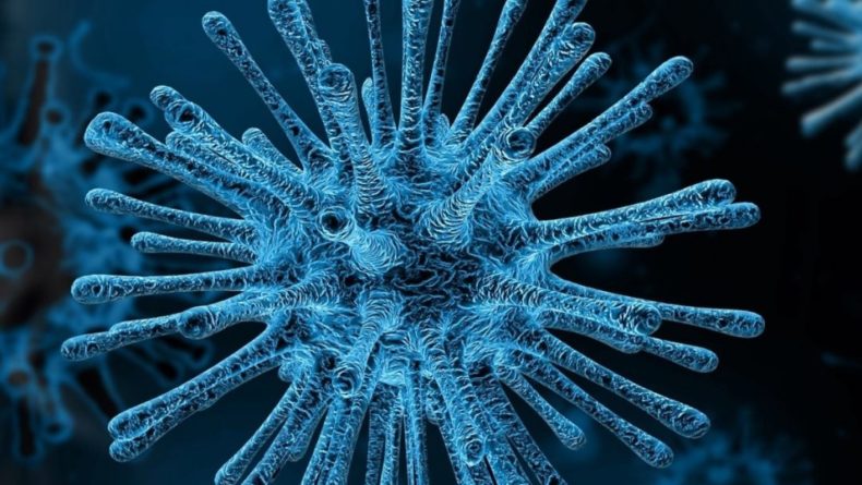 Общество: В Великобритании заявили об обнаружении опасной мутации коронавируса