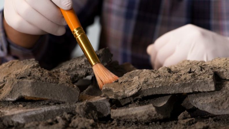 Общество: Археологи нашли в Британии отпечаток пальца возрастом пять тысяч лет