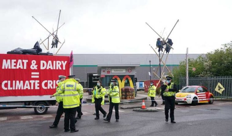 Общество: Борцы за права животных заблокировали выезд со складов McDonald's в Великобритании