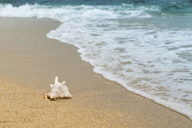 Общество: Британцы нашли тонну кокаина на пляже во время прогулки